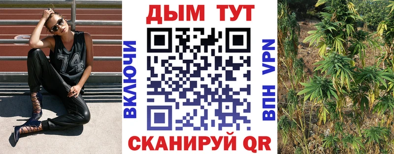 Наркотические вещества Пенза Cocaine Метадон Гашиш Марихуана Меф мяу мяу Псилоцибиновые грибы