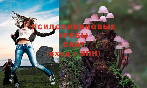 мескалин Верея