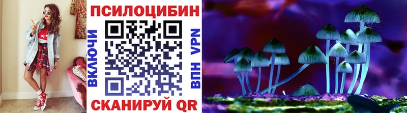 Псилоцибиновые грибы прущие грибы  Пенза 